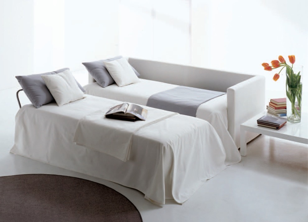 Sofa Bed that converts to a chaise lounge or sofa